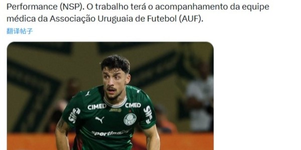 网页版登录入口地址-战英格兰受伤，帕尔梅拉斯官方：乌拉圭后卫皮克雷斯脚踝韧带撕裂